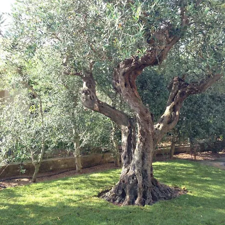 Villetta Al Mare Hébergement de vacances *